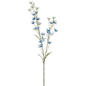 Boterbloem