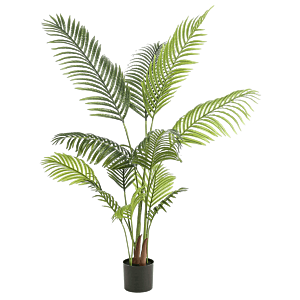 Paradijsvogelbloem
