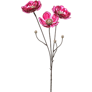 Anemone