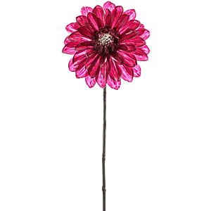 Dahlia
