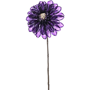 Dahlia