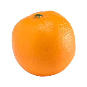 Sinaasappel