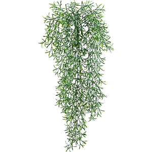 Wilde Aspergevaren