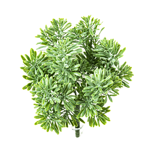 Zilverblad