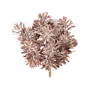 Zilverblad