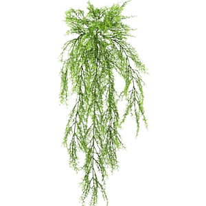 Aspergevaren