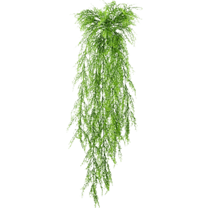 Aspergevaren