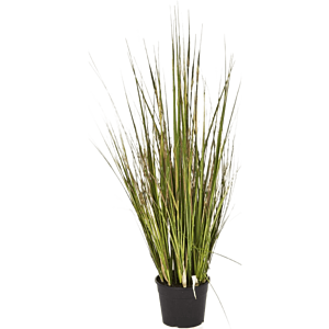 Bamboegras