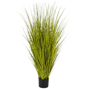 Miscanthusgras