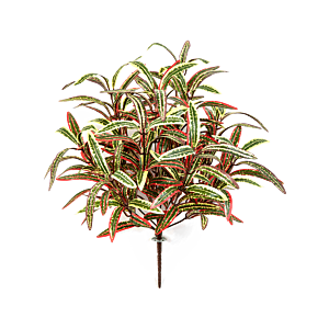 Spinplant