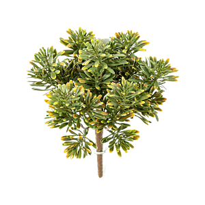 Zilverblad