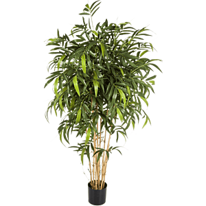 Nieuwe Natuurlijke Bamboe