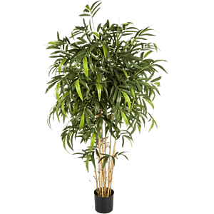 Nieuwe Natuurlijke Bamboe