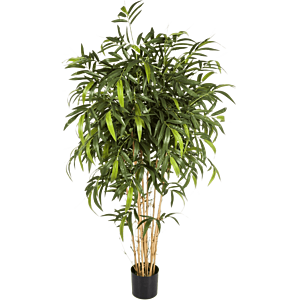 Nieuwe Natuurlijke Bamboe