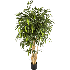 Nieuwe Natuurlijke Bamboe