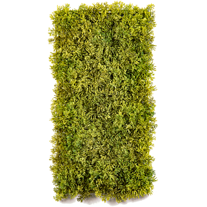 Moss
