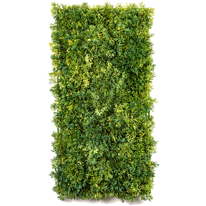 Moss