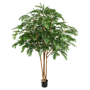 Giant Ronnbar