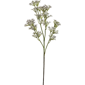 Kroonbloem