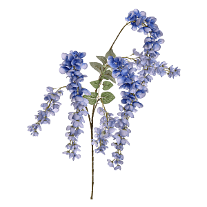 Blauwe Regen