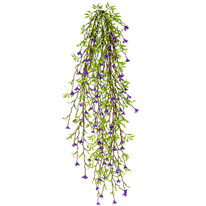 Paarse Hangplant