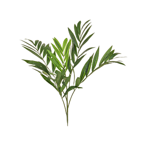 Parlorpalm