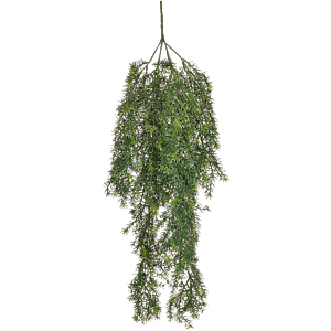 Aspergevaren