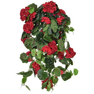 Geranium Rood