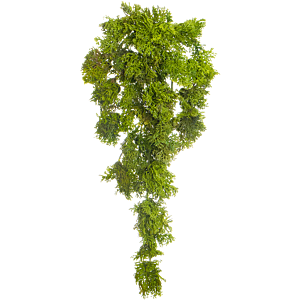 Rendiermos Hangplant