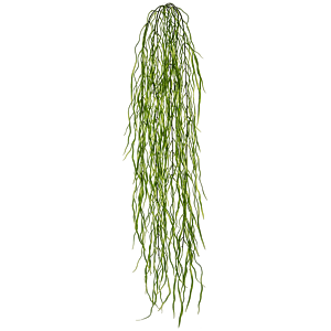Hangend Gras