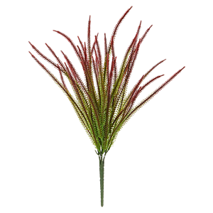 Gras