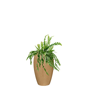 kantoorplant in bruinbeige hoge bloempot