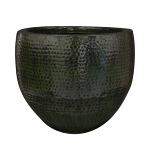 Pot Thom forest