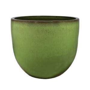 pot Pure forest