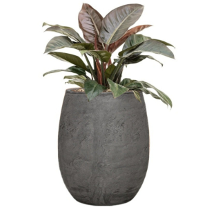 grijze algar pot met rode plant