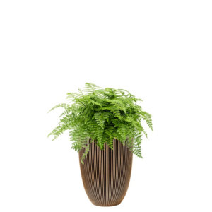 varen in capi plantenbak goud
