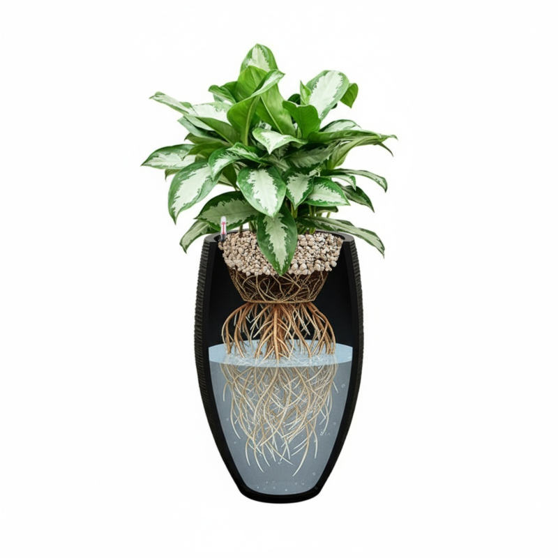 water systeem voor kantoorplanten