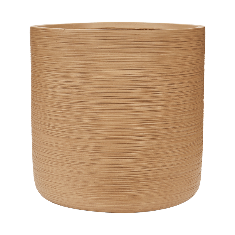 Baq Dune