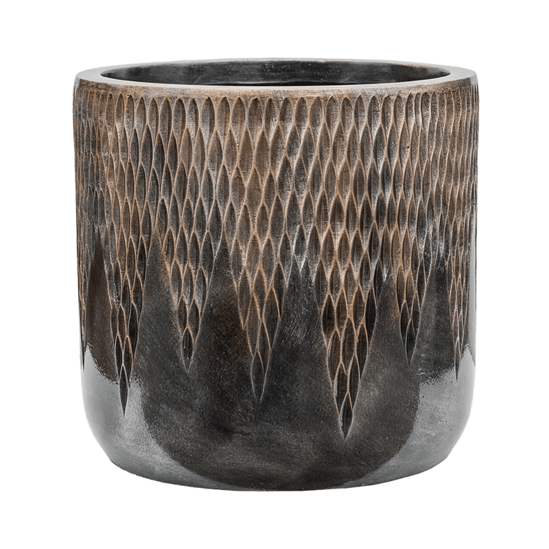 Baq Luxe Lite Universe Comet