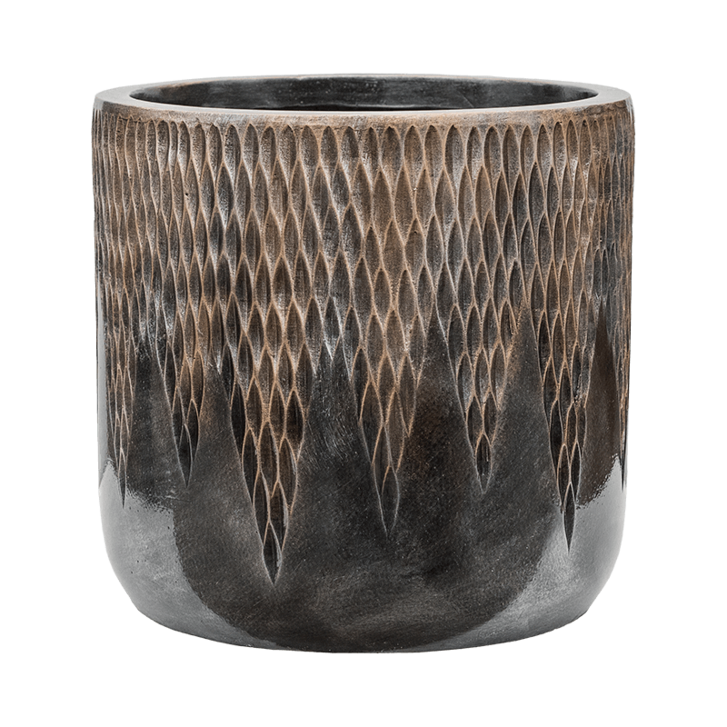 Baq Luxe Lite Universe Comet