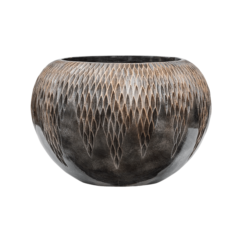 Baq Luxe Lite Universe Comet