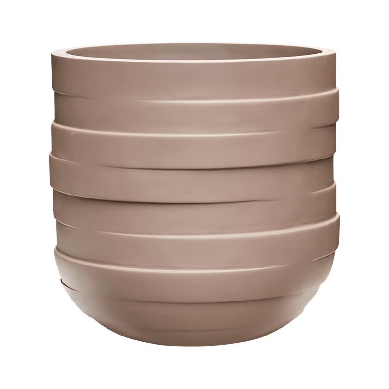 Circulum Natural