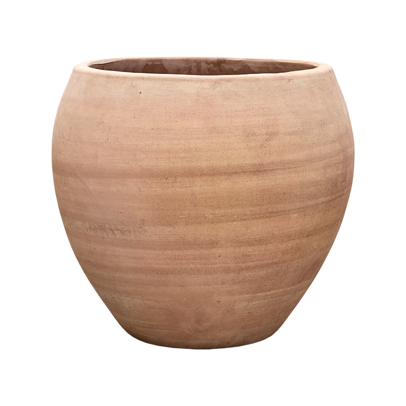 Terra Moderna