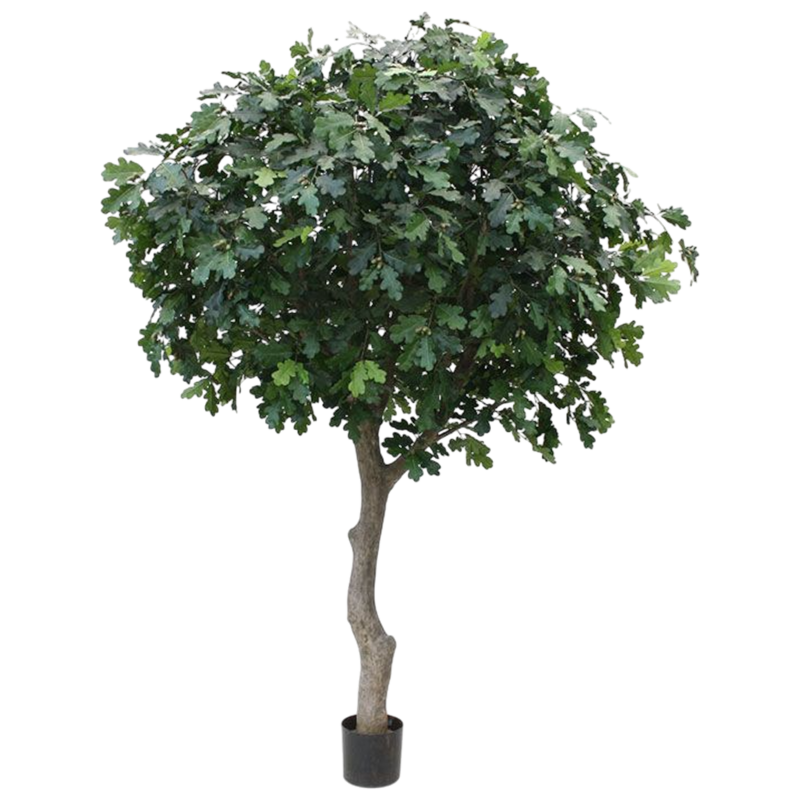 Kunst Eikenboom Giant deluxe