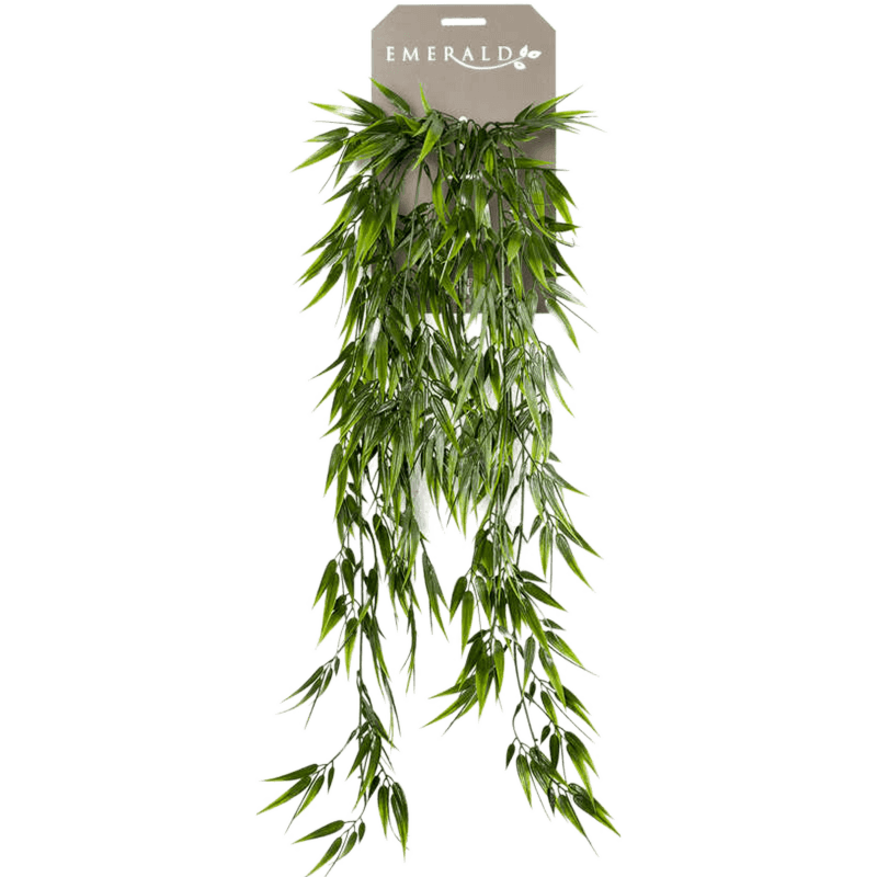 Bamboe