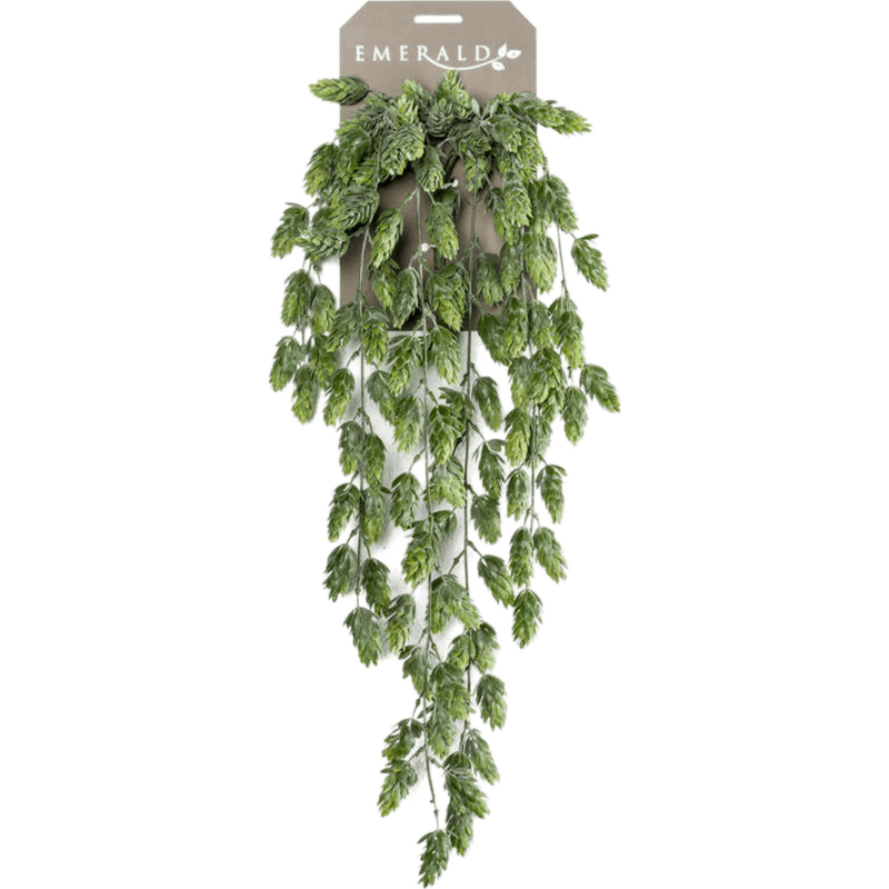 Hopplant