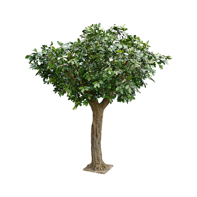 Zomereik (Grote Eik)