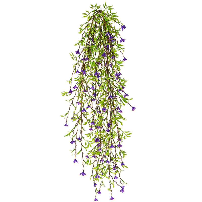 Paarse Hangplant