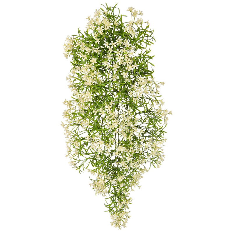 Witte Hangplant