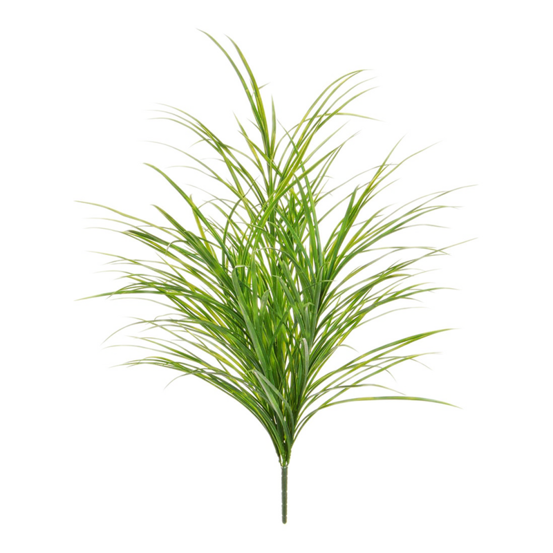 Zwaardgras